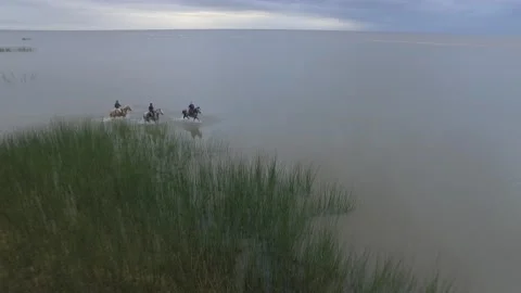 Lagoa dos Patos 스톡 동영상 137610217