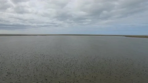 Lagoa dos Patos 스톡 동영상 137610233