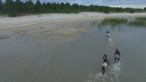 Lagoa dos Patos Stock-Footage 137610234