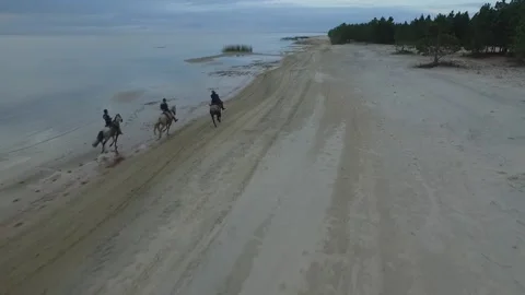 Lagoa dos Patos Stock-Footage 137610328