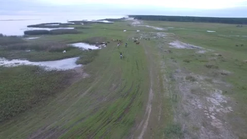 Lagoa dos Patos 스톡 동영상 137610342