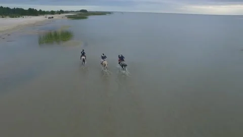 Lagoa dos Patos 스톡 동영상 137610345