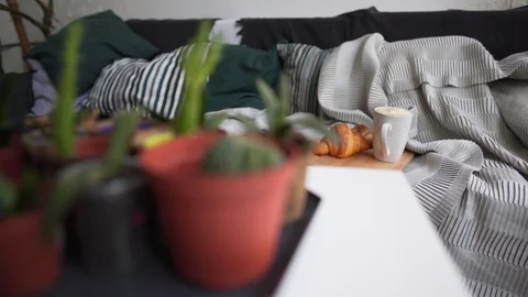 Lagom concept - sofa with coffee and croissant, homemade flowers in pots on the Video stock 114158331