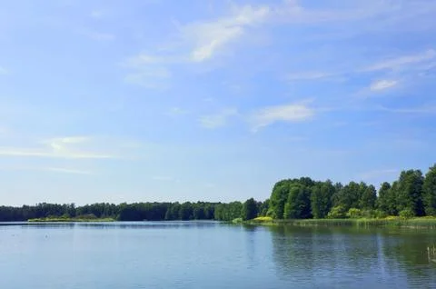 Lagoon and forest Stock Photos