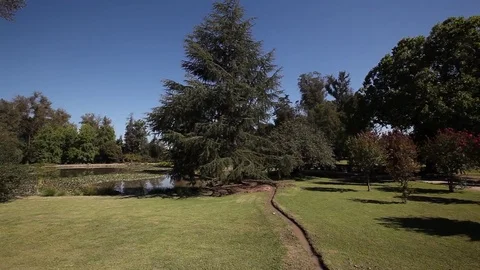 Lagoon and trees Stock Footage 77045812