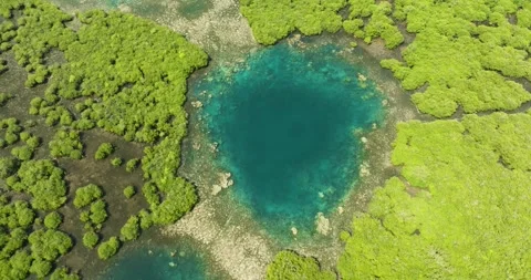 Lagoon and wetlands in the Philippines Stock Footage 311550744