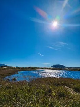 Lagoon between dunes Stock Photos