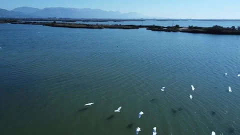 Lagoon Stock Footage 164253116