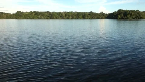 Lagoon formed by overflowing of Juma River in Manaus, Brazil, during periods of 库存影片 337239682