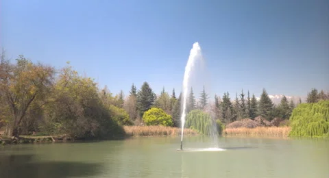 Lagoon with green trees in the background, water fountain and copying space Stock Footage 212966617