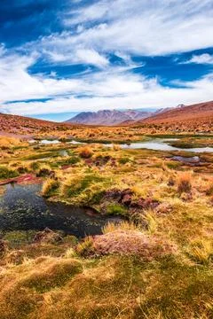 Lagoon landscape in Bolivia Stock Photos