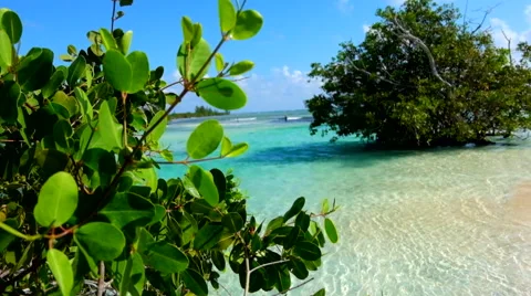 Lagoon in mexico Stock Footage 45879001