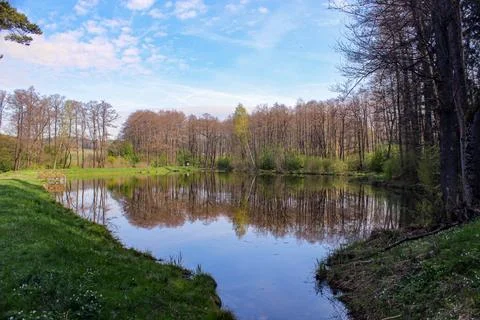 Lagoon with mirror reflection in the middle of the forest Foto stock