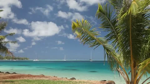 Lagoon of Moorea Stock Footage 11233953