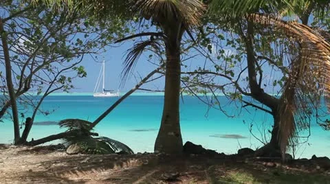 Lagoon Moorea Stock Footage 11238229