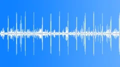 Lagoon morning swarm with distant sea waves HD 24bits/96KHzSound Effect