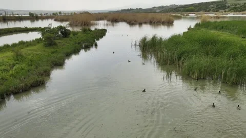 Lagoon panoramic view Video stock 242407745