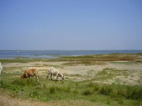 Lagoon Stock Photos