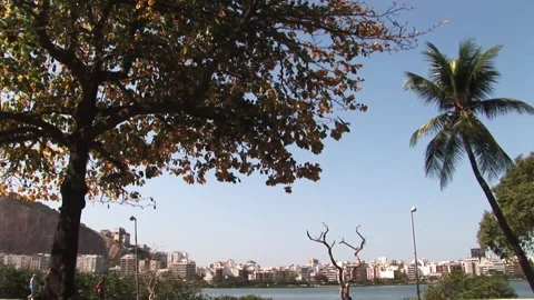 The Lagoon - September 14th, 2010 Video stock 314069831