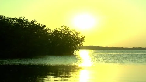 Lagoon at sunset Stock Footage 137550082