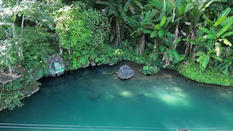 Lagoon surrounded by lush greenery in Laos Stock Footage 300038413