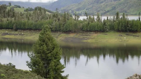 Lagoon surrounded by mountains and a pine forest, Andean mountains, Lake Corani Stock Footage 277469055