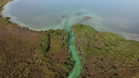 Lagoon in Tulum, Mexico Stock Footage 331662588