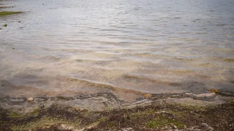 Lagoon view in horizontal format close-up Stock Footage 255983741