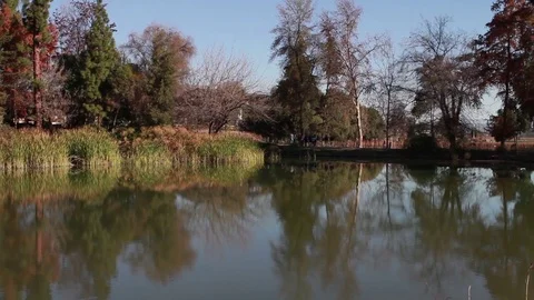 Lagoon wide shot Stock Footage 77049525