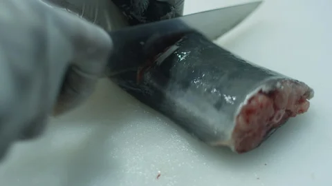 Lagos Cutting Fish Stock Footage 101666374