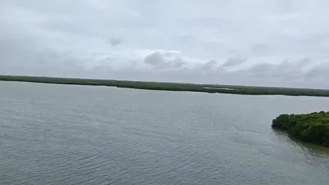 Lagun near Progreso, Mexico Video stock 158958220