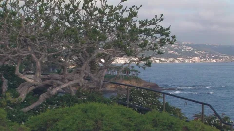 Laguna Beach coast Video stock 61575627