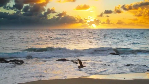 Laguna Beach during sunset with dark puffy clouds Stock Footage 128092811