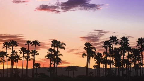 Laguna Beach 库存影片 135089668