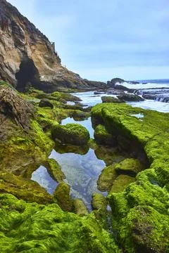Laguna Beach Tidepools Lush Algae Covered Rocks and Ocean Cave at Thousand .. Stock-Fotos
