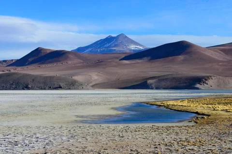 Laguna Santa Rosa with the volcanoes Nevado Ojos del Salado National Park Stock Photos