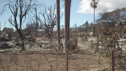 Lahaina Fire - Aftermath Stock Footage 256625670