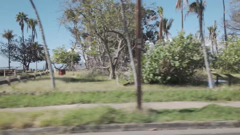 Lahaina Fire - Aftermath Stock Footage 260580210