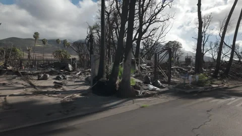 Lahaina Fire - Aftermath Stock Footage 260584754