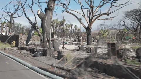 Lahaina Fire - Aftermath Stock Footage 260585490