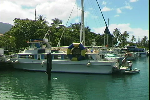 Lahaina Harbor-pan Stock-Footage 818514