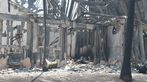 Lahaina Maui Devastating Fire Damage Stock Footage 259773362