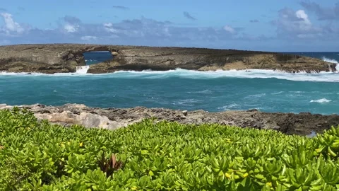 Laie Stock Footage 167147271