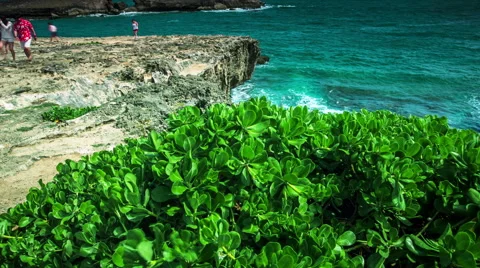 Laie Point State Wayside Stock-Footage 48105231