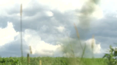 Laka - meadow - grassland Stock Footage 34403455