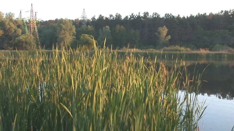 Lake 1 Stock Footage 5549319