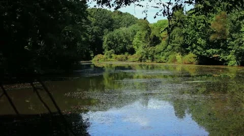 Lake 1 库存影片 12111940