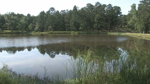 Lake 2 Stock-Footage 976389