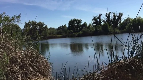 Lake 2 Stock Footage 75593194