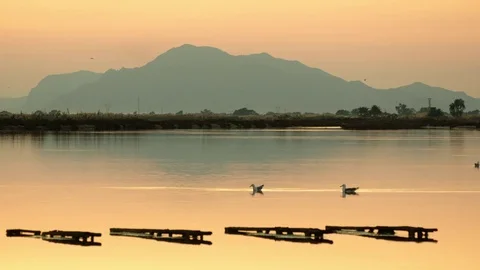 Lake 2 Stock Footage 83435302